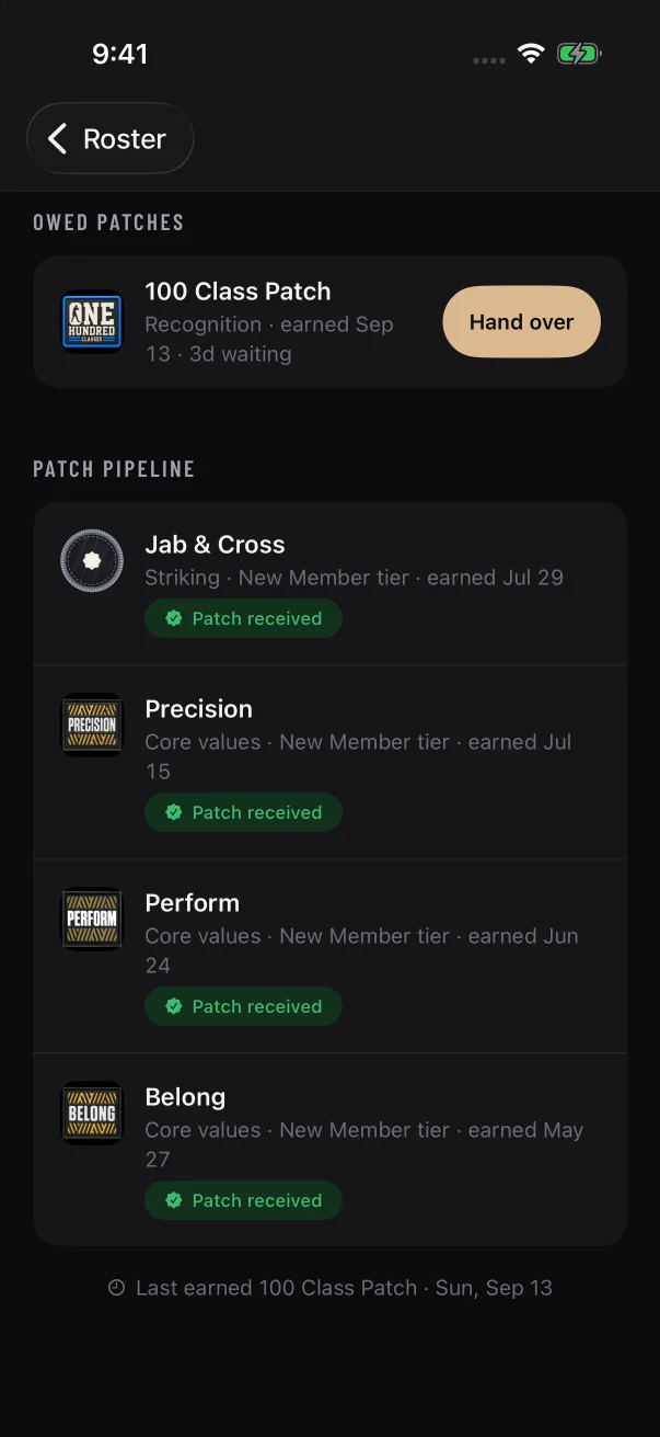 "Patch pipeline" lists patches already handed over, plus any that were sent back. A green "Patch received" means the member has confirmed it.