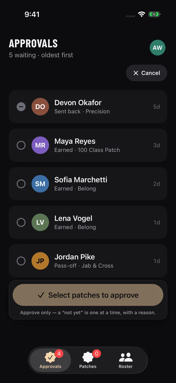 Until you tick a card, the button at the bottom reads "Select patches to approve".