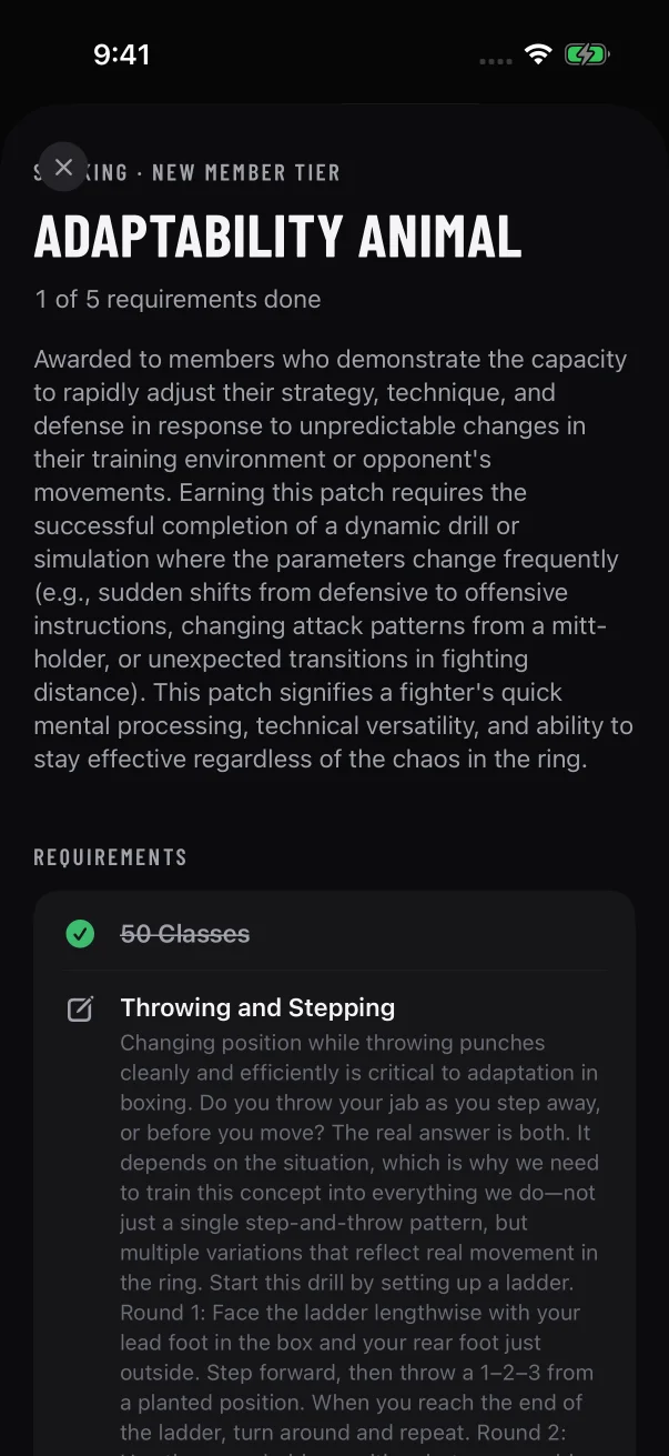 This sample member hasn't started the patch, but its class row is already done because every class requirement reads the same count.