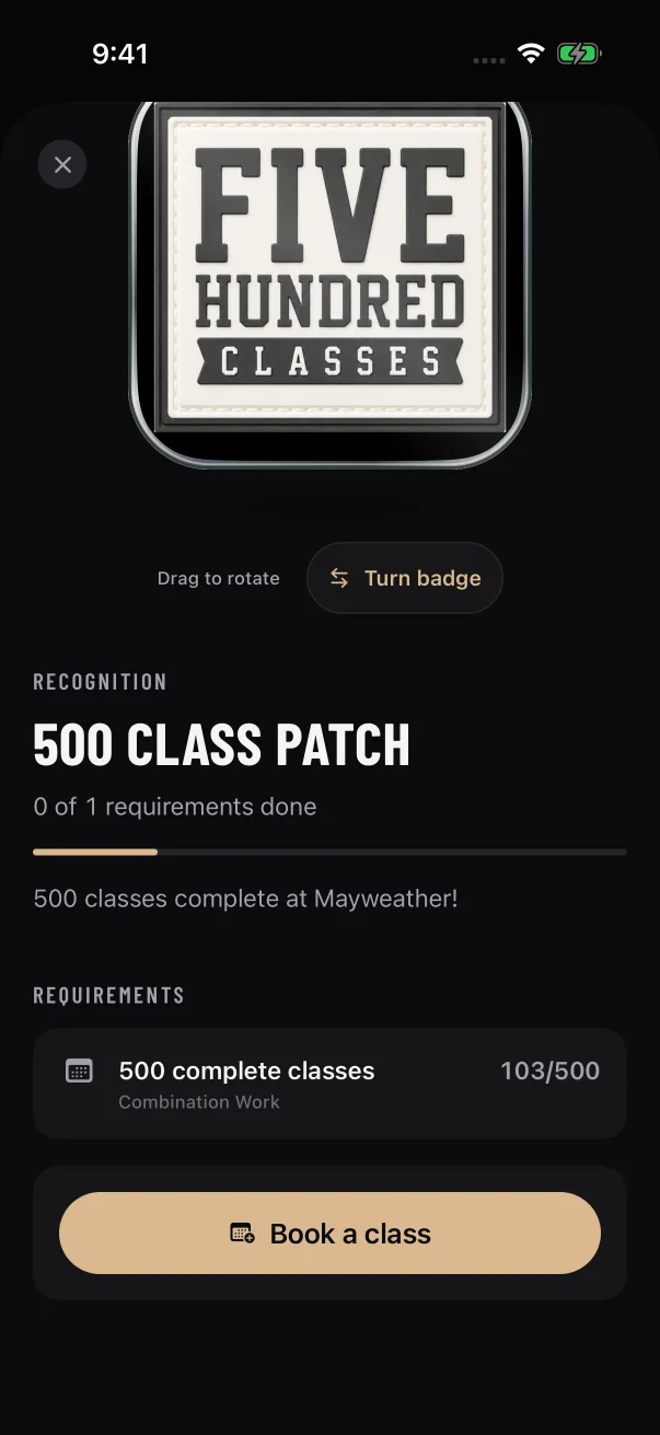A class milestone counts up from the same class total, here 103 of 500.