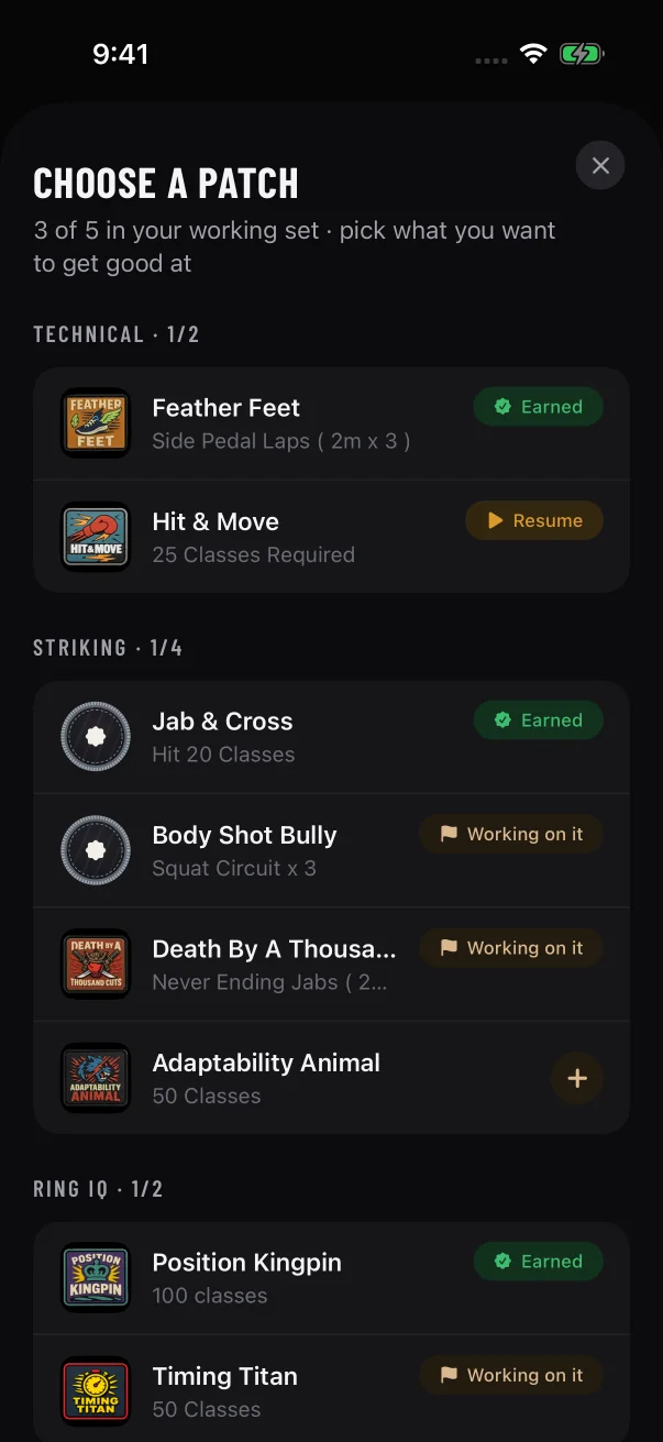 Choose a patch shows how many slots are in use and whether each patch is earned, active, paused or free to start.